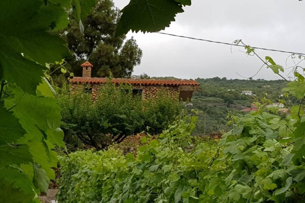 La Tagora Conect With The Nature & Relax Icod De Los Vinos Exteriér fotografie