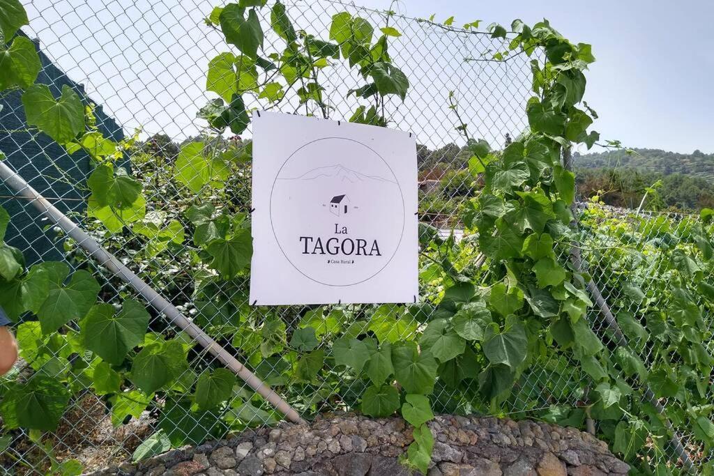 La Tagora Conect With The Nature & Relax Icod De Los Vinos Exteriér fotografie